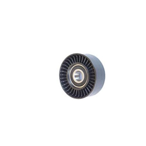 ALTERNATÖR GERGİ RULMANI CLIO 2-KANGOO 1.4-1.6