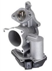 EGR VALFI A4 A6 2.0TDI BLB-BNA-BRE-BRD-BRF-BVF-BVA-BVG 05 08