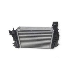 TURBO RADYATÖRÜ INTERCOOLER RENAULT CLIO 5 19 1.0TCE NISSAN MICRA 5 18 BRAZING 255x217x50