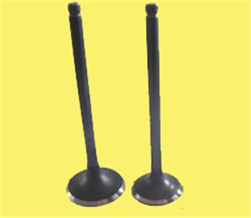 SUBAP EMME EKSOZ P106 XSI-P306 XT-P306 CABRİOLET 8V IN-4/EX-4