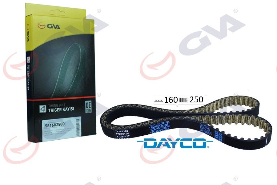 TRİGER KAYIŞI 160x250 VW TRANSPORTER T5 2.0TDI 09 > CAAA /CAAB /CAAC