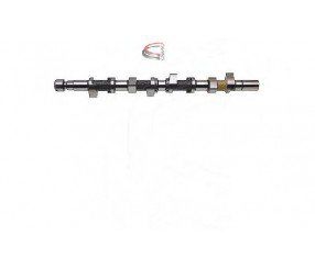 EKSANTRİK MİLİ EMME LAGUNA 2-MEGANE 2 1.6 16V OKUYUCULU ÇELİK