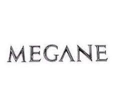 ARKA YAZI MEGANE 2 460