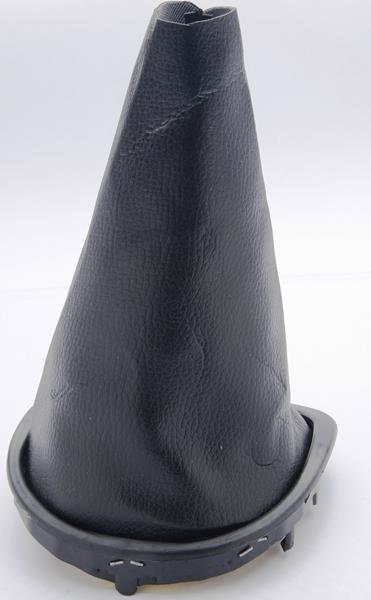 VİTES KÖRÜĞÜ CLIO III