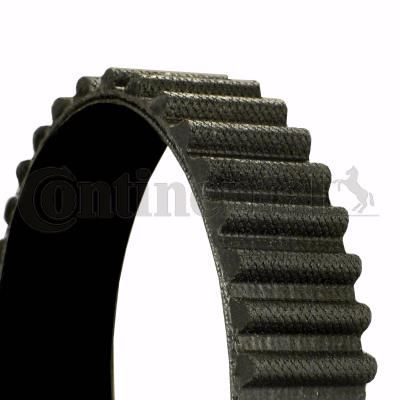 CT1208 TRİGER KAYIŞI