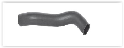 RADYATÖR HORTUMU ÜST ACCENT 4 BLUE 1.4 11