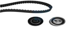 EKSANTRİK GERGİ KİTİ 140x254 P206-306-PARTNER-EXPERT-BERLINGO-JUMPY-SCUDO-COROLLA 1.9D 98- DW8