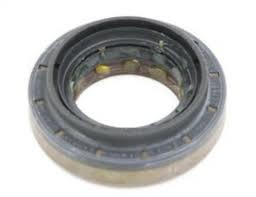 ŞANZUMAN KUYRUK KEÇESİ TRANSİT 98