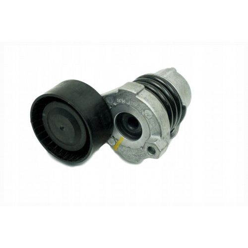 ALTERNATÖR GERGİ RULMANI KÜTÜKLÜ CLİO 4 CAPTUR KADJAR MEGANE 3 DOKKER DUSTER LOGAN  SAND 0.9 1.2 TCE