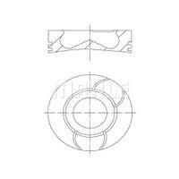 MOTOR PİSTON SEGMAN 0.50 P206-P307-C3-FIESTA 1.4 HDI-TDCI DW4 8V 74.20