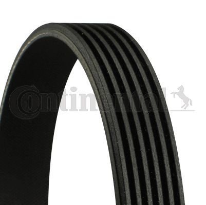 KANALLI KAYIŞ VOLVO C70 S60 S70 S80 V70 V70XC XC70 XC90 68431D