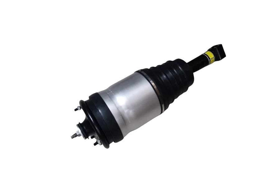 AMORTİSÖR VE KÖRÜK ARKA R-L LR041110 RRS