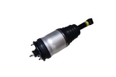 AMORTİSÖR VE KÖRÜK ARKA R-L LR041110 RRS