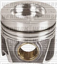 MOTOR PİSTON SEGMAN CNHA-CNHC-CZJA-DETA-DETB-DDAA-DFCA-DDAA 81.01