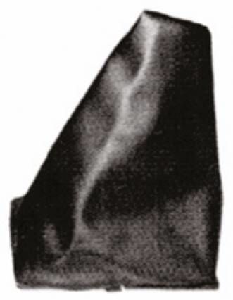 VİTES KÖRÜĞÜ TİPO