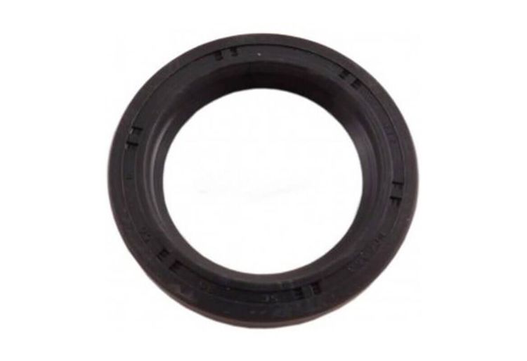 EGZANTRİK KAPAK KECESİ R9 R11