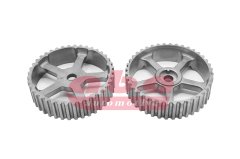 EKSANTRİK DİŞLİSİ KANGOO 1.9 F8Q-F9Q xA