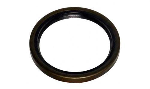 82012069 KRANK KEÇESİ ARKA TMPR-PALIO-SIENA