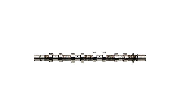 EKSANTRIK MILI EMME MEGANE 1 97 CLIO 2 98 04 LAGUNA 1 97 LAGUNA 2 01 07 MEGANE 2 02 08 LOGAN 06 1.4 1.6 / K4M K4J 8200100527