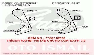 TRİGER KAYIŞI 116x190 116 DİŞ CNCRD-LAGUNA-SAFR 2.0 GD116H9-5P190 CT749