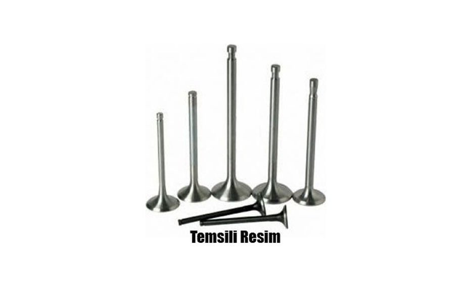 SUBAP EMME EGZOZ R12 1400 8V IN-4/EX-4 3509-41 / 3513-41