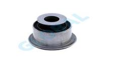 x SALINCAK BURCU P106 91 SAXO 96 TÜM MOTOR TİPLERİ