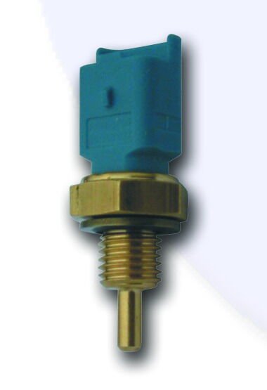 MÜŞÜR HARARET PALIO 46554621