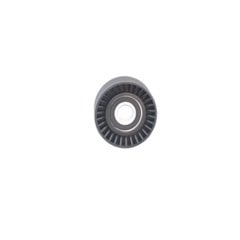 ALTERNATÖR GERGİ RULMANI P306-P406-P605-P806-XSARA 2.0 16V
