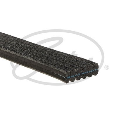 KANALLI KAYIŞ ÇİFT KANALLI PAS YM BORA GOLF 4-POLO 68381D x C