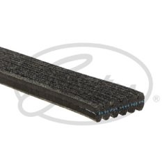 KANALLI KAYIŞ ÇİFT KANALLI PAS YM BORA GOLF 4-POLO 68381D x C