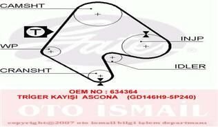 x TRİGER KAYIŞI 146x240 ASTRA F 1.7D 8V 91-96 VECTRA A 1.7D 8V 88-95 KADET 1.6D 8V 84-89 C