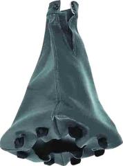 VİTES KÖRÜĞÜ PALIO-SIENA