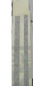 ÇEVRE SÜS BANDI GRİ TK TOROS SW