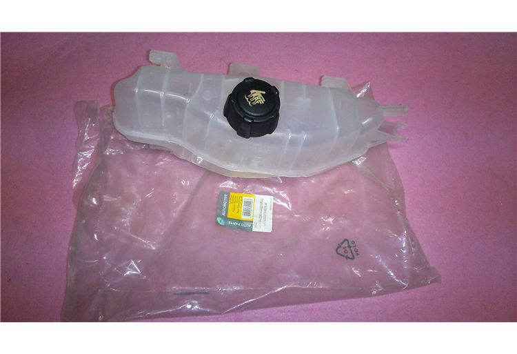 GENLEŞME ŞİŞESİ CLİO 3 1.5 DCİ