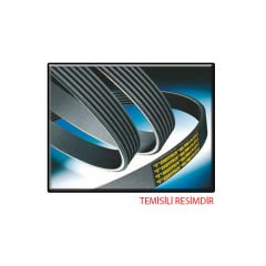 KANALLI KAYIŞ RENAULT MEGAN 1.4 16V 09 ESPACE 1.9DCI 8V 02-06 2.0 16V 02-05