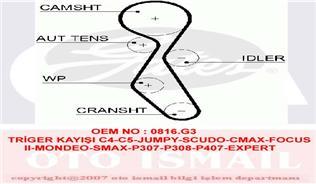 TRİGER KAYIŞI 116x254 C4-C5-JUMPY-SCUDO-CMAX-FOCUS 2-MONDEO-SMAX-P307-P308-P407-EXPERT 2.0 HDI