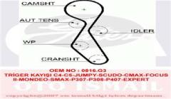 TRİGER KAYIŞI 116x254 C4-C5-JUMPY-SCUDO-CMAX-FOCUS 2-MONDEO-SMAX-P307-P308-P407-EXPERT 2.0 HDI