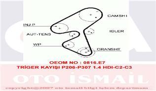 TRİGER KAYIŞI 144x254 PEUGEOT 206 307 BIPPER 1.4HDI 01 C1 C2 C3 XSARA NEMO 1.4HDI FIESTA CT1063