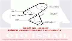 TRİGER KAYIŞI 144x254 PEUGEOT 206 307 BIPPER 1.4HDI 01 C1 C2 C3 XSARA NEMO 1.4HDI FIESTA CT1063