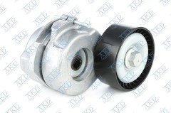 ALTERNATÖR GERGİ RULMANI KÜTÜKLÜ LINEA-PUNTO-AGILA-ASTRA H-J-COMBO-CORSA C-D-MERIVA 1.3CDTI-1.3JTD