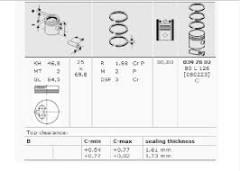 x MOTOR PİSTON SEGMAN 0.80 P205-C15 1.5 D XUD7 80.80