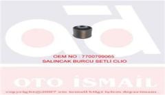SALINCAK BURCU CLİO