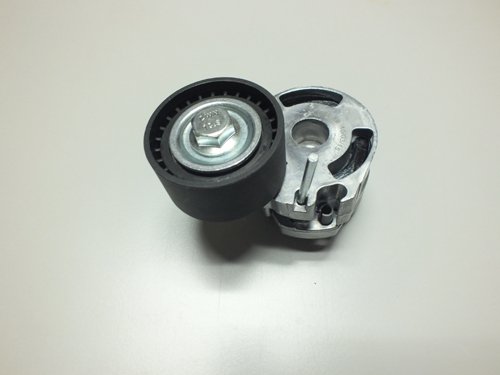 ALTERNATÖR GERGİ RULMANI KÜTÜKLÜ P206 1.4HDI-407-PARTNER 1.6 HDI-C3 1.6 16V-C5 1.6HDI-BERLINGO 1.6