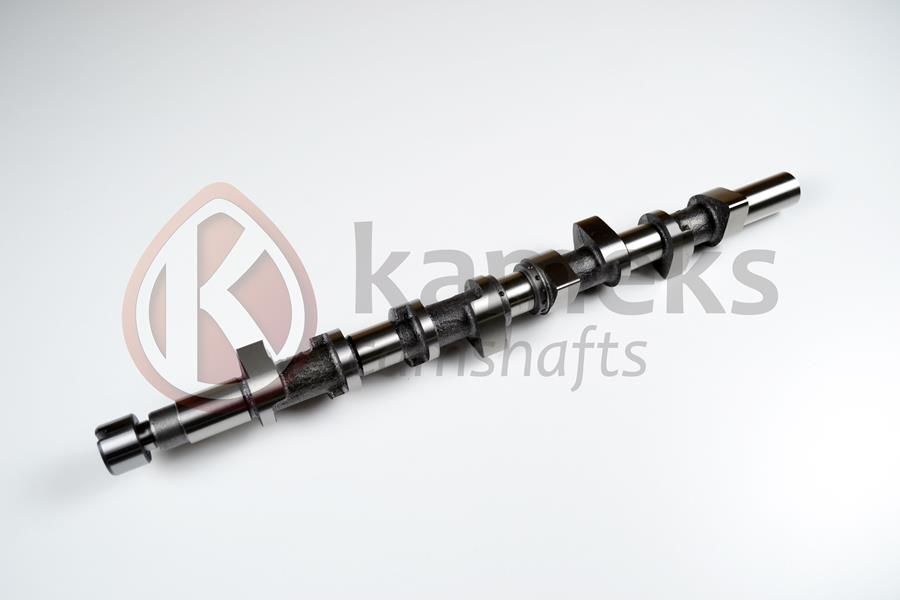 EKSANTRIK MILI MEGANE 1 97 01 MEGANE 2 02 08 LAGUNA 1 97 02 LAGUNA 2 02 07 -TRAFIC 2 06 MASTER 1 01 1.9 DCI F9Q DÖKÜM