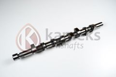 EKSANTRIK MILI MEGANE 1 97 01 MEGANE 2 02 08 LAGUNA 1 97 02 LAGUNA 2 02 07 -TRAFIC 2 06 MASTER 1 01 1.9 DCI F9Q DÖKÜM