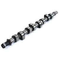 EKSANTRİK MİLİ EGSOZ P307 PARTNER Y.M 1.6 HDI-FORD FOCUS 2 04 11 1.6 TDCI C-MAX 04 11 1.6 TDCI VOLVO C30 1.6D 06 12 S40 2 1.6D 06 12 S80 2 1.6D 10 12 V70 3 1.6 D 06 12 ÇELİK