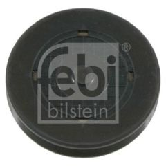 EKSANTRIK TAPASI/SILINDIR KAPAK TAPASI 42.5X9 KÜÇÜK MEGANE/CLIO/LOGAN 1.4-1.6 16V 96-