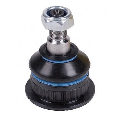 ROTİL M131 DKŞ JBJ619