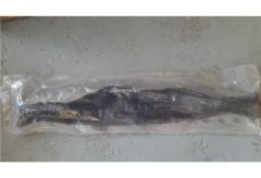 ÖN TORPİDO KAPAMA İZOLASYONU ELEMANI MEGANE 2