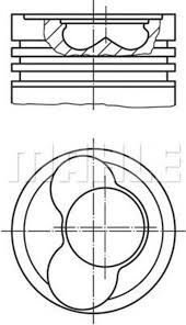 MOTOR PİSTON SEGMAN STANDART VW T4 2.5 TDI ACV-AHD-ANJ 1.2 SİLİNDİR 81.01